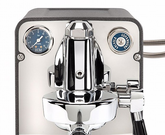 ����� ��� ������� ECM PURISTIKA