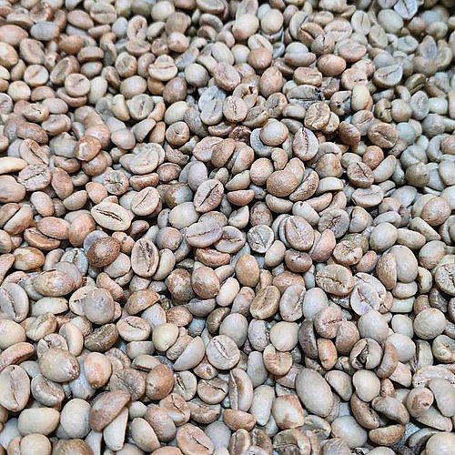 1 �"� ���� ��� ���� Robusta Cherry INDIA ������� ��� ���� AA